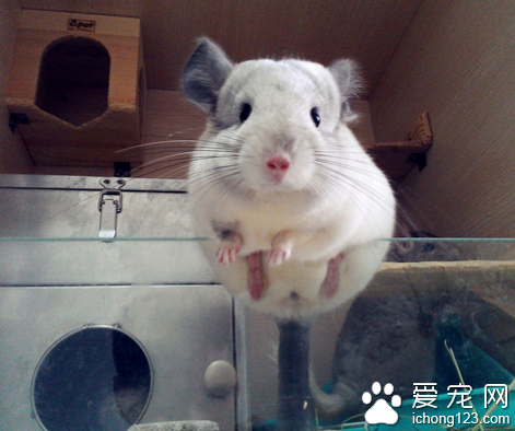 太沉了爬不上去呀