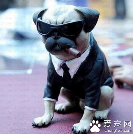 这汪一看就是在黑社会里混的