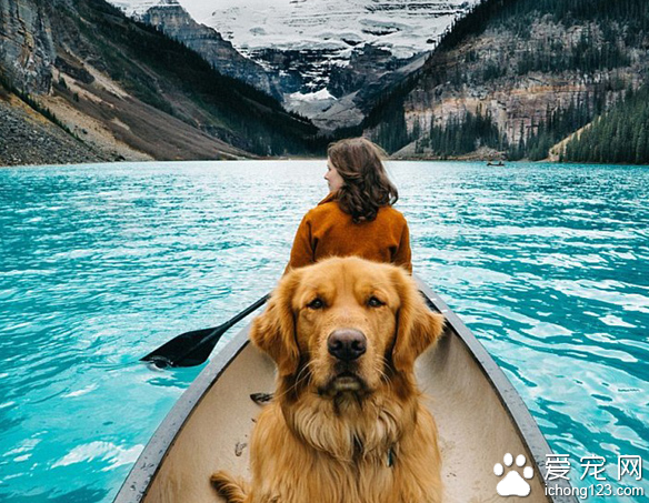 家长携带宠物外出旅行走红网络 引数万人效仿