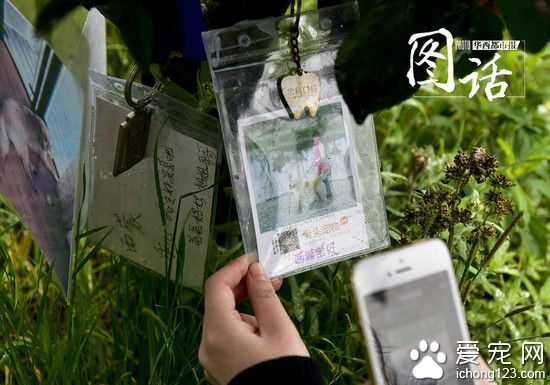 成都龙泉驿区宠物公墓:最贵喊价1.2万