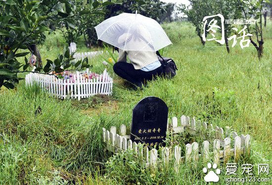 成都龙泉驿区宠物公墓:最贵喊价1.2万