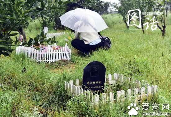 在成都，像彭女士一样选择宠物公墓的人士并不鲜见。据了解，在成都，这样的宠物墓地有三四家，均远离市区，多为负责人的私营林地。实地探访后，记者发现，这些宠物公墓几乎都没有打出招牌，但在网上都可以检索到。