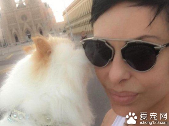 妹子将去世宠物猫做防腐处理,从此形影不离