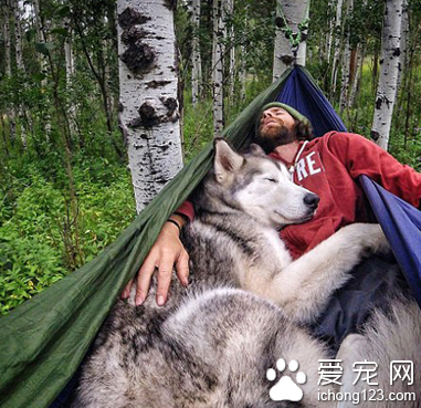 家长携带宠物外出旅行走红网络 引数万人效仿