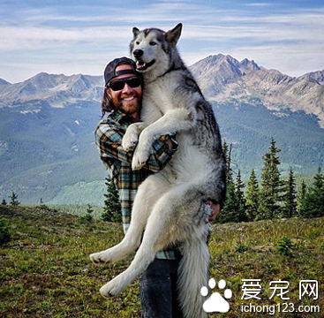 家长携带宠物外出旅行走红网络 引数万人效仿