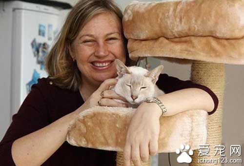 英国暹罗猫被困邮包内8天没吃没喝顽强存活