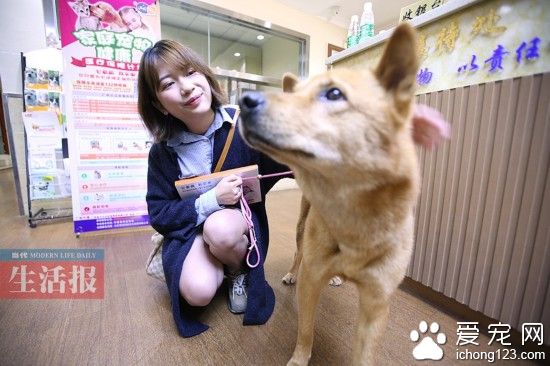 广西首例！女子给土狗买“医保” 你会给宠物买吗