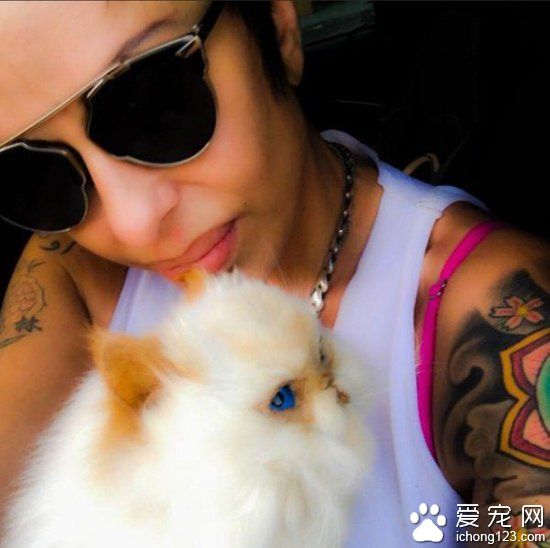 妹子将去世宠物猫做防腐处理,从此形影不离