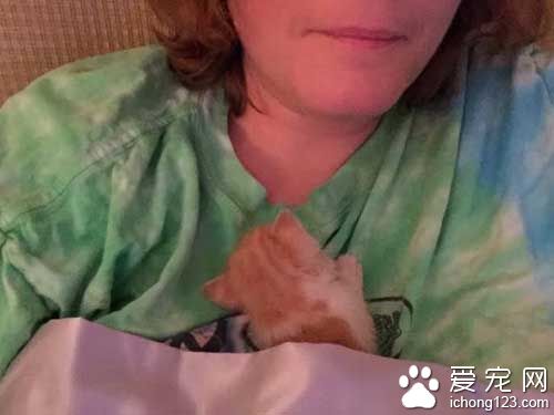 橘猫就爱躺猫奴胸口 原来背后有心酸故事