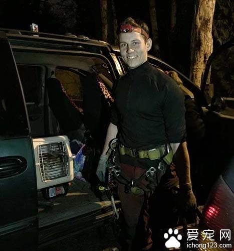 橘猫受困树上饱受惊吓 救援后终于放松并学着信任人