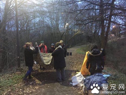 橘猫受困树上饱受惊吓 救援后终于放松并学着信任人