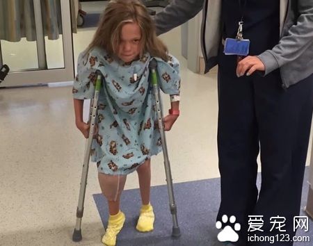 陪伴黏多醣症小女孩的服务犬乔治 得到了最棒的一天