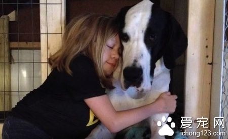 陪伴黏多醣症小女孩的服务犬乔治 得到了最棒的一天