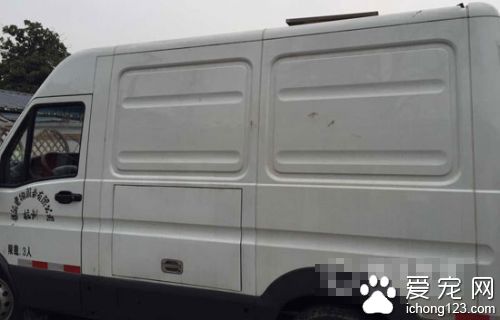 杭州宠物善后服务兴起 猫狗墓穴最高要价1万6