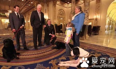 陪伴黏多醣症小女孩的服务犬乔治 得到了最棒的一天