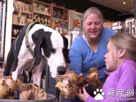 陪伴黏多醣症小女孩的服务犬乔治 得到了最棒的一天