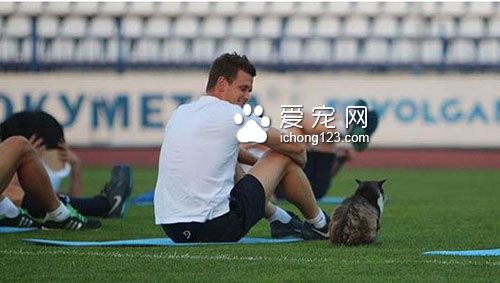 猫咪闯进足球队练习中竟然发生这一幕