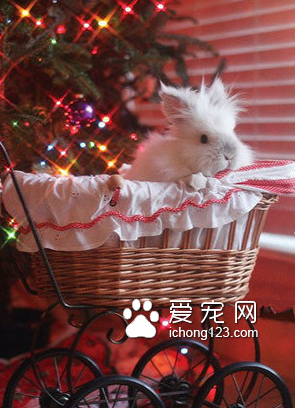 这就是我的小床吗