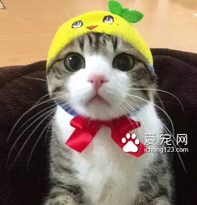 这颜值，这眼睛，要美爆！