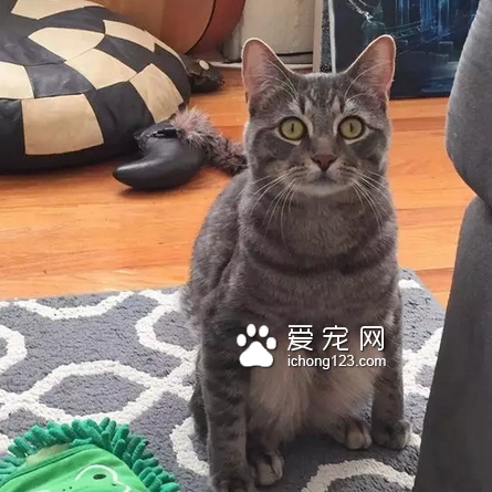 主要不是靠脸，是靠……坐姿