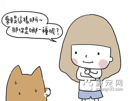 为什么狗狗总爱咬衣物?让我们来了解下到底为什么吧!