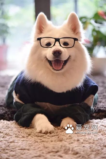 一对可爱的“兄妹”