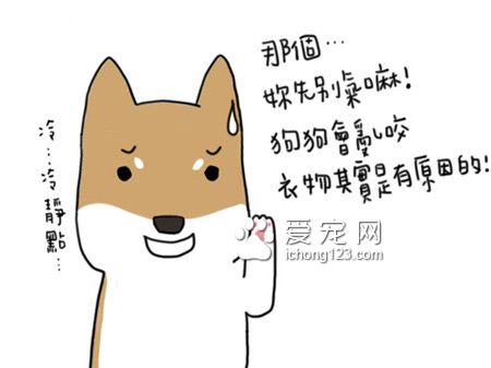 为什么狗狗总爱咬衣物?让我们来了解下到底为什么吧!