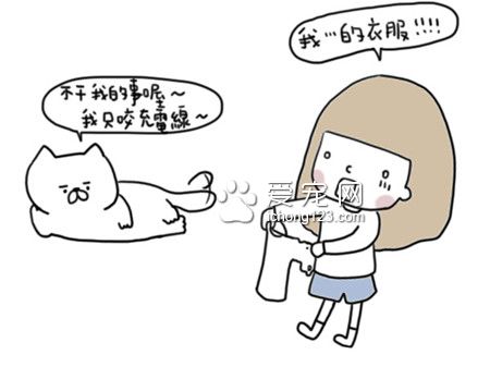 为什么狗狗总爱咬衣物?让我们来了解下到底为什么吧!