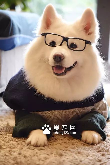 一对可爱的“兄妹”