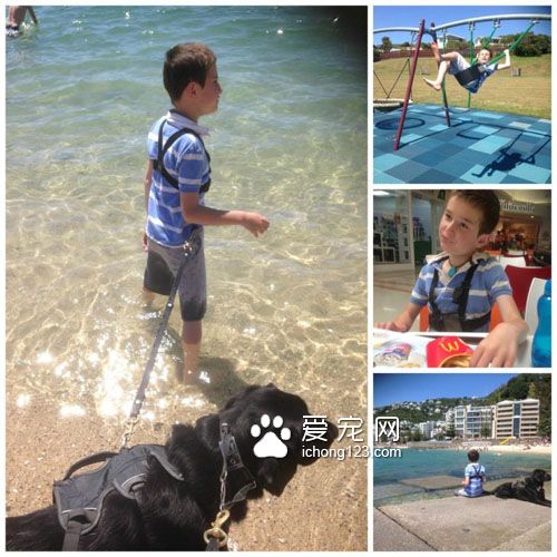 忠心耿耿的服务犬为自病症男孩带来欢乐