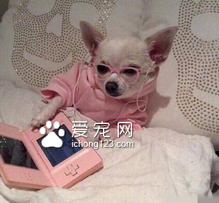 这不是包租婆吗？