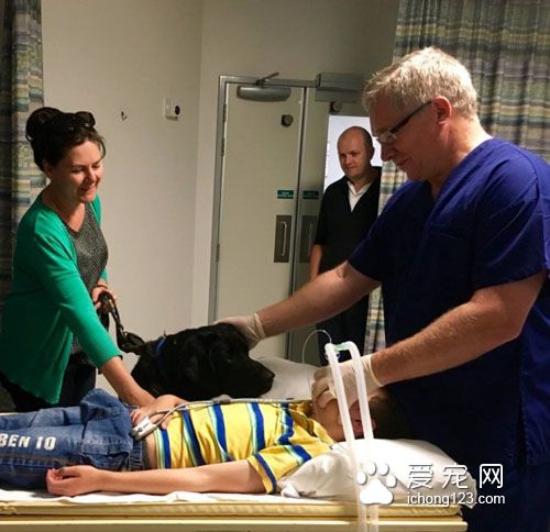 忠心耿耿的服务犬为自病症男孩带来欢乐