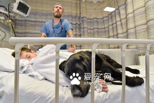 忠心耿耿的服务犬为自病症男孩带来欢乐