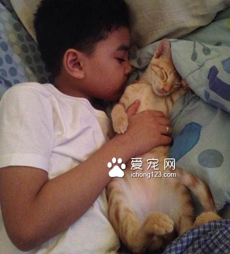 有“阴谋”的小橘猫当恶霸挡路获得了好心人收养