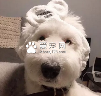 这颜我给一百分