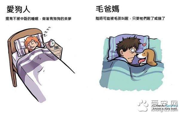 有没有养狗差很大！爱狗人与毛爸妈之间的差别～