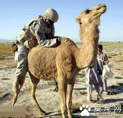 第一眼就看错了 好污哦