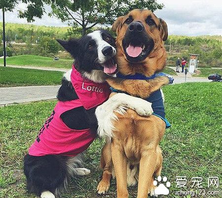 你俩感情真好啊！单身狗见了都要嫉妒