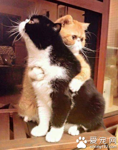 老公 你别老想着飞 求你了