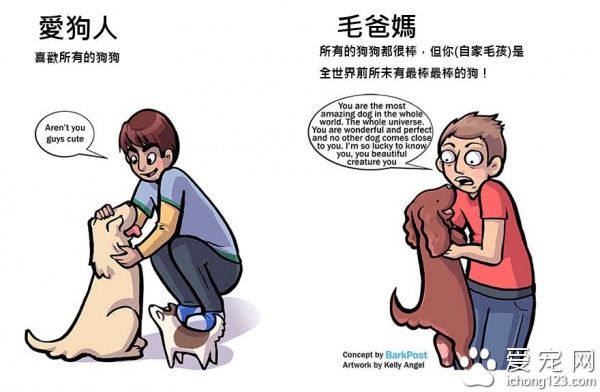 有没有养狗差很大！爱狗人与毛爸妈之间的差别～