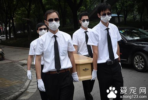 上海大妈为宠物狗办风光葬礼