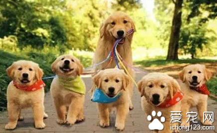 生娃容易养娃难，没事别超生！