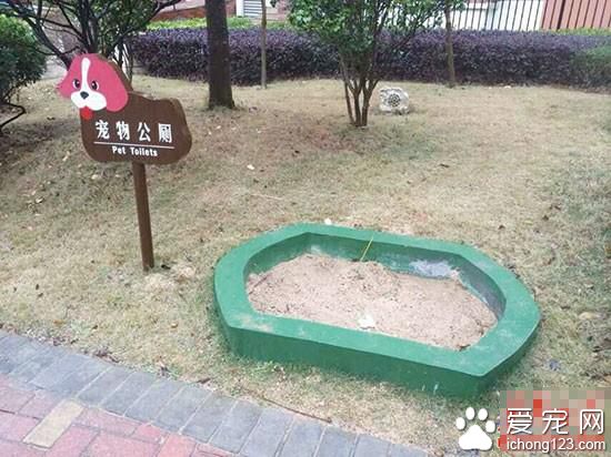 小区为宠物建公厕 网友：再也不担心“狗屎运”