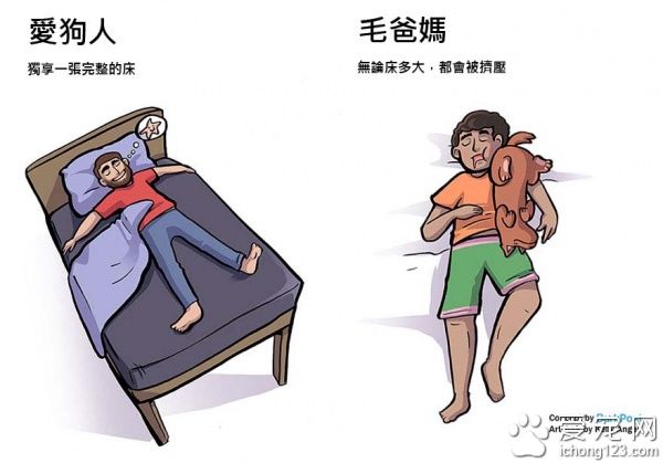 有没有养狗差很大！爱狗人与毛爸妈之间的差别～
