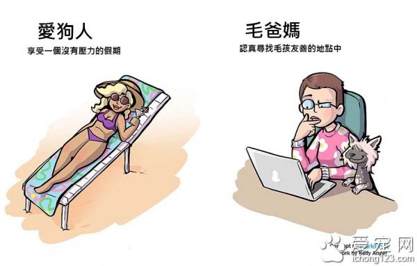 有没有养狗差很大！爱狗人与毛爸妈之间的差别～