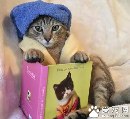 放假在家时的你...不能再准了！