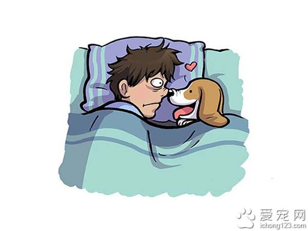 有没有养狗差很大！爱狗人与毛爸妈之间的差别～