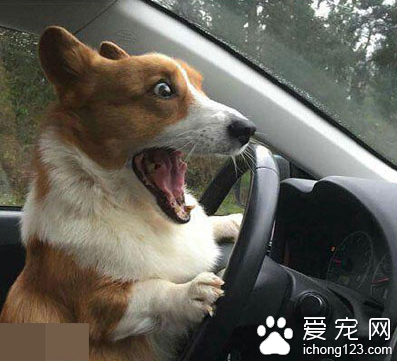 啊啊啊啊啊 要撞上啦 救命啊