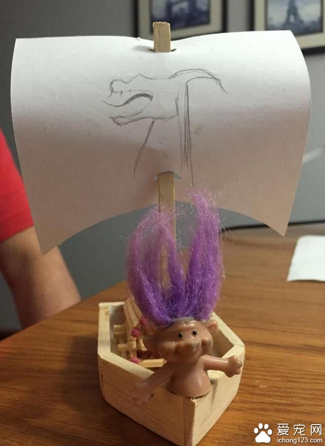 宠物鱼去世后 主人为它举办了一场“海盗葬礼”