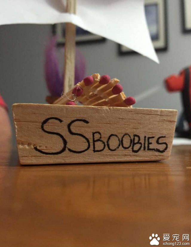 宠物鱼去世后 主人为它举办了一场“海盗葬礼”